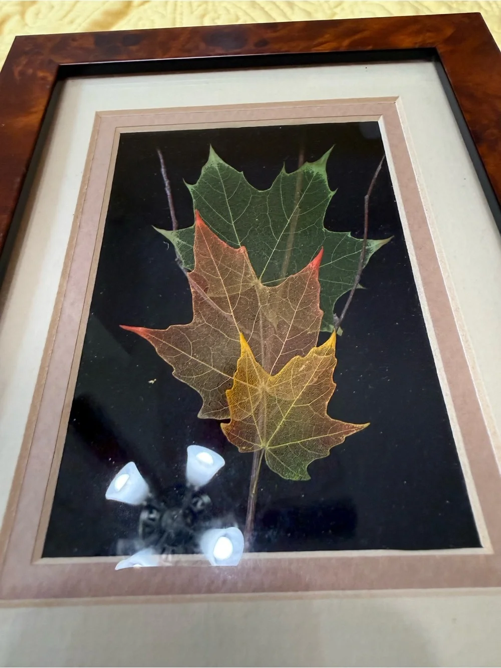 Neutral Framed Leaf Wall Art Set - Cream and Brown Lot 3